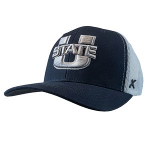CapX two tone gray and navy u-state cap
